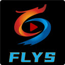 飞龙TV