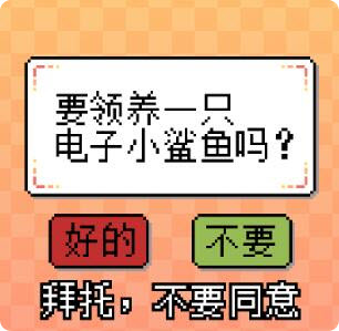 我的小鲨鱼