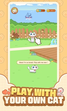 猫咪时间