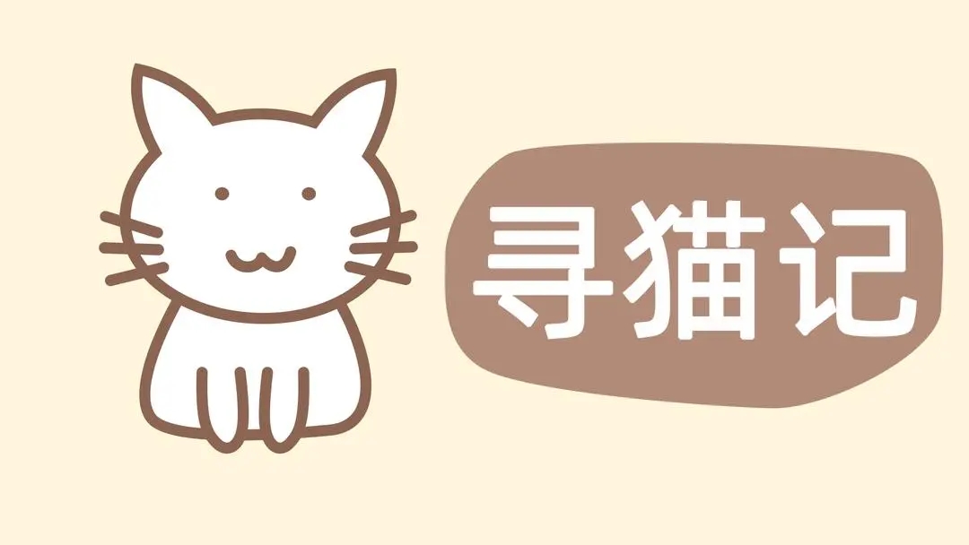 寻猫记